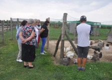 Powiększ zdjęcie Zwiedzanie Ranczowiska